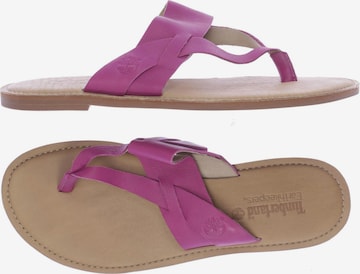 TIMBERLAND Sandals & High-Heeled Sandals in 39 in Pink: front
