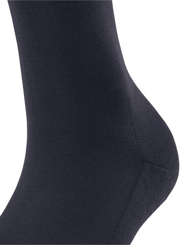 FALKE Knee High Socks 'ClimaWool' in Blue