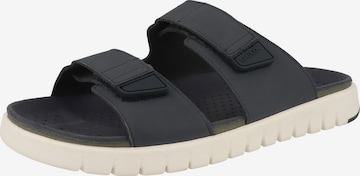 Mule 'U Flextride S' GEOX en bleu : devant