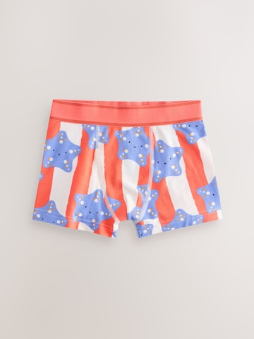 Next Underpants in Mixed colors