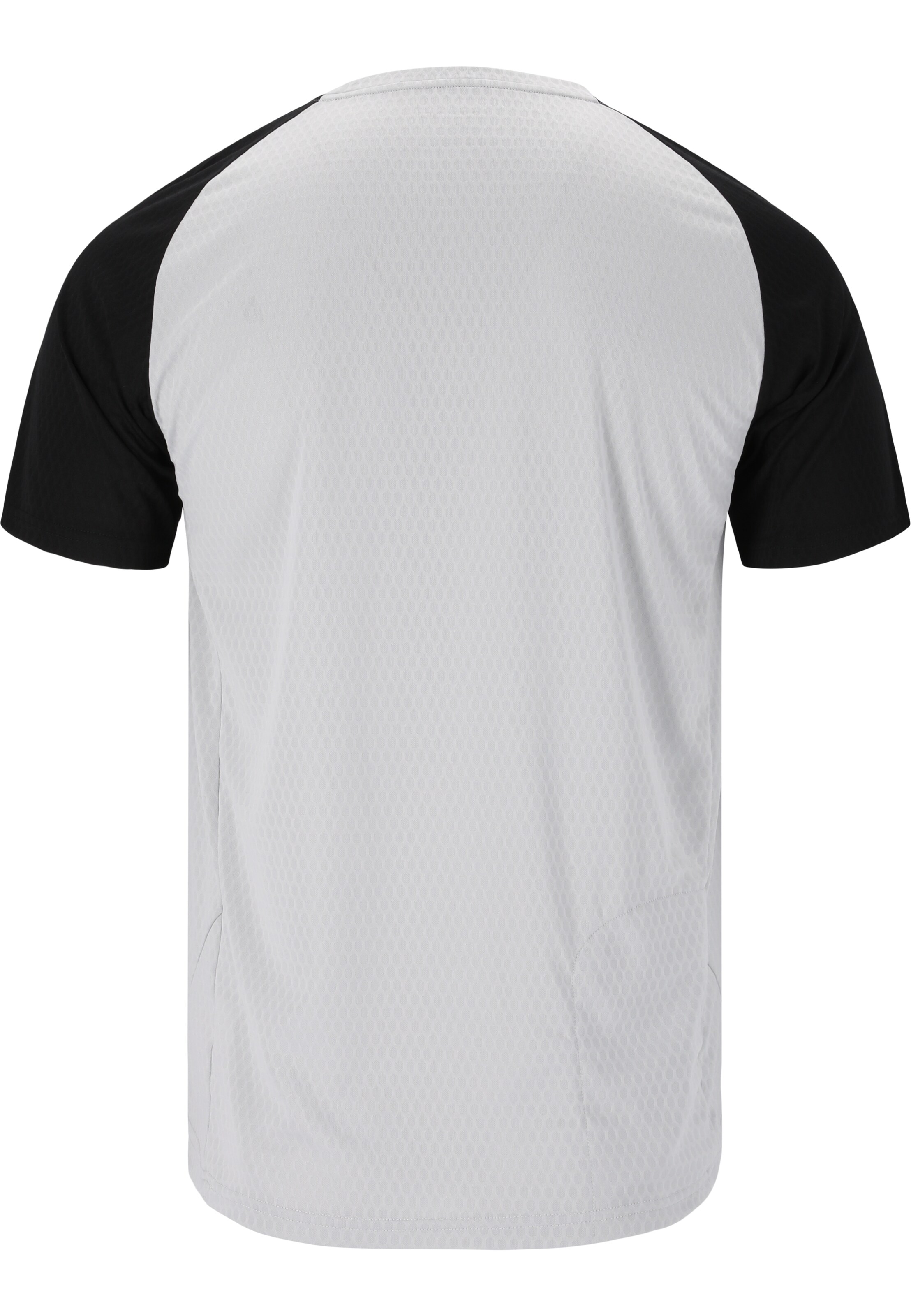 ENDURANCE Functioneel shirt 'Dario' in Grijs