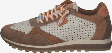 Cetti Sneaker 'C848 M' in Beige