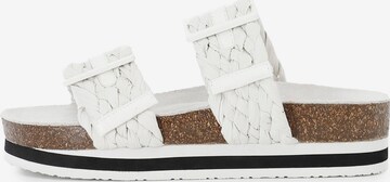 Ciabatta di CAFè NOIR in bianco: frontale