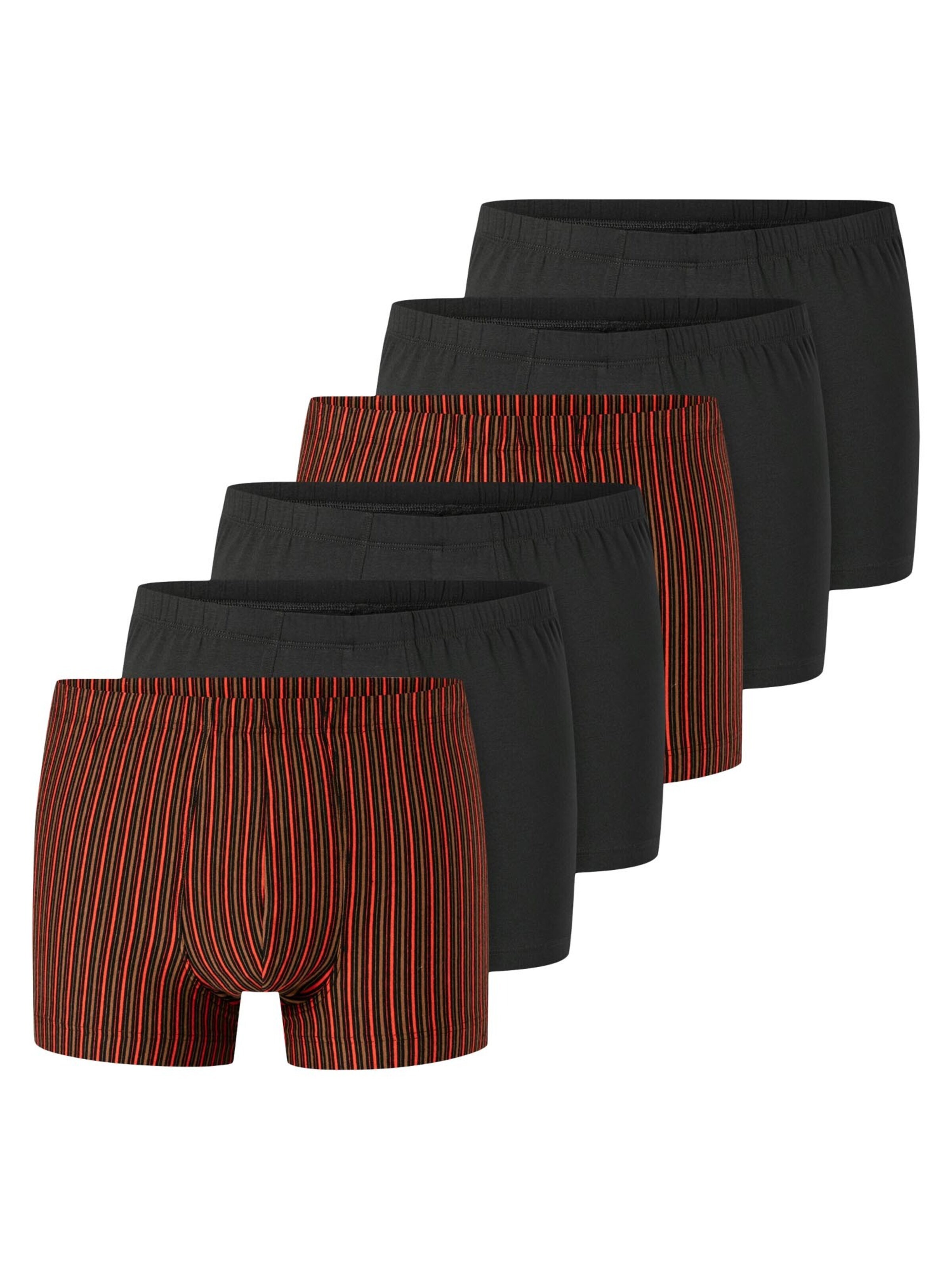 SCHIESSER Boxer shorts '95/5 Essentials - Cotton' in Mixed colours: front