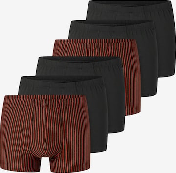 SCHIESSER Boxer shorts '95/5 Essentials - Cotton' in Mixed colours: front