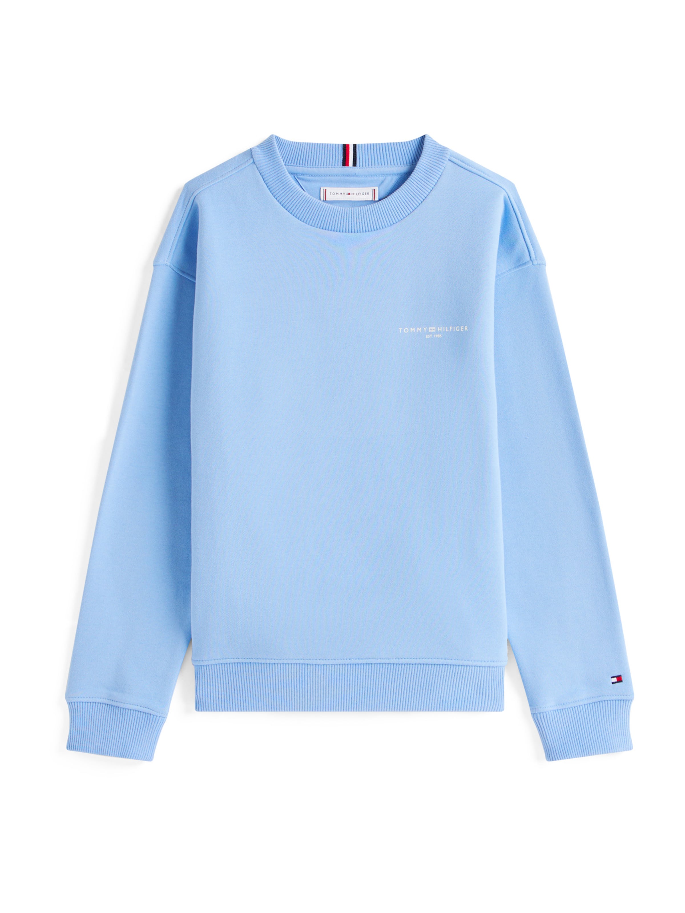 TOMMY HILFIGER Свитшот в Синий: спереди