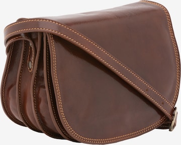 Viola Castellani Crossbody Bag in Brown: front