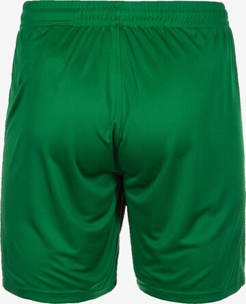 ERIMA Regular Workout Pants 'Rio 2.0' in Green