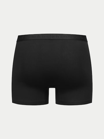 Boxers 'Casual Cotton' Erlich Textil en noir