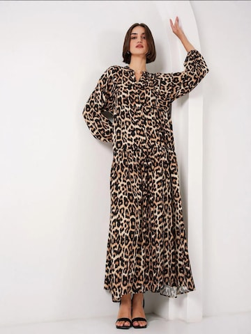 Bigdart Dress 'Maxi' in Brown