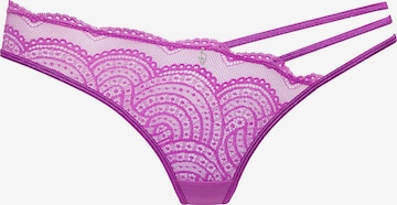 LASCANA Stringi w kolorze fioletowy: przód