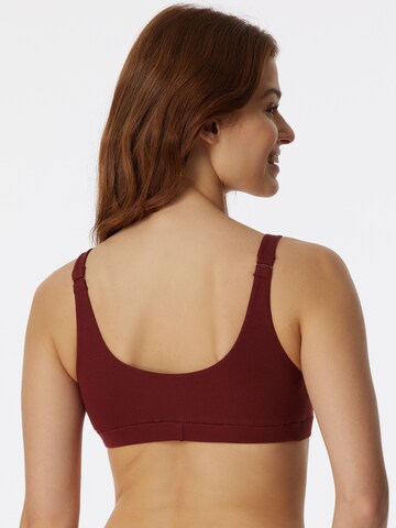 SCHIESSER Bralette Bra 'Pure Rib' in Brown