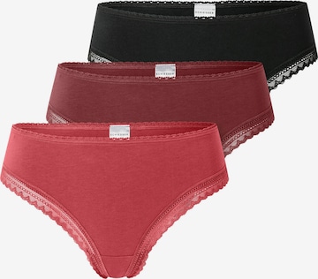 SCHIESSER Thong in Red: front