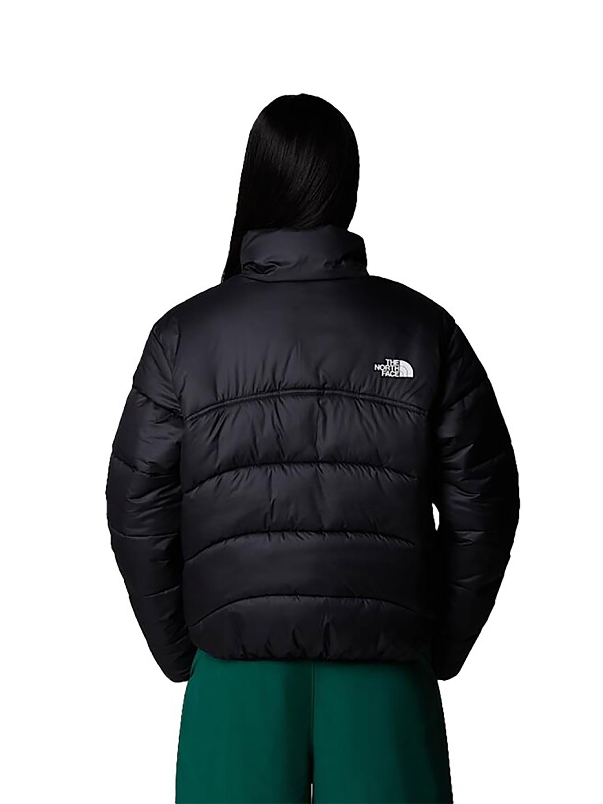 THE NORTH FACE Winter Jacket '2000' in Black
