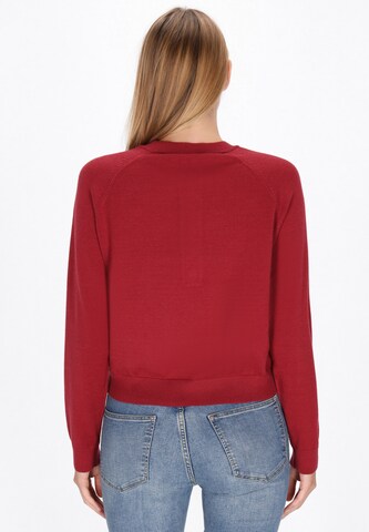 usha BLUE LABEL Trui in Rood