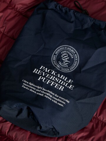 JACK & JONES Jacke in Blau