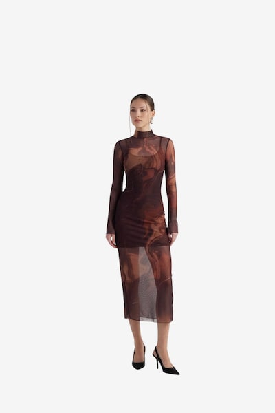 HOLLY LOLLY Robe en 34 en brun foncé / bronze, Vue avec produit