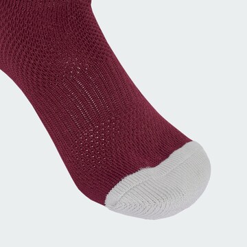 ADIDAS PERFORMANCE Sports socks 'Milano 23' in Red