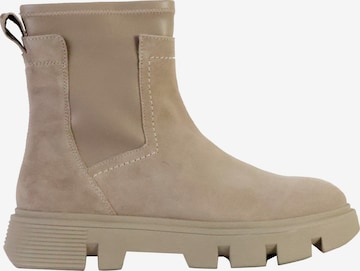 GEOX Ankle boots in Grey: front