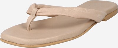 Apple of Eden Japanke 'Scarlett' u nude, Pregled proizvoda