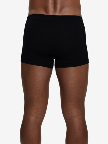 ESPRIT Boxershorts in Mischfarben