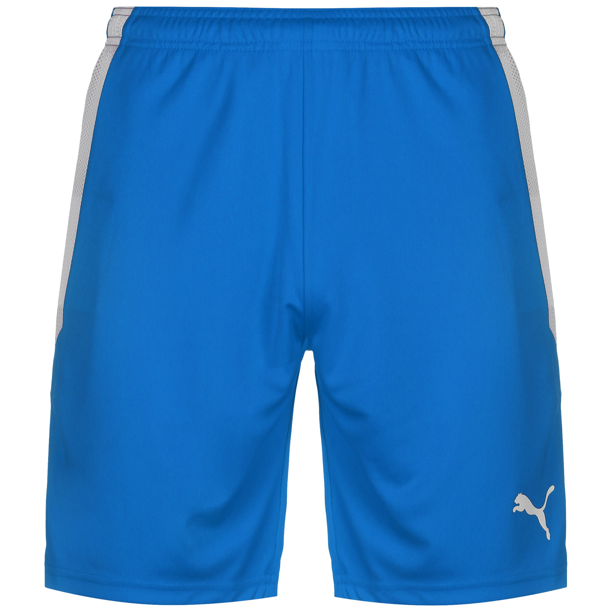 PUMA Sportshorts 'TeamLIGA' in Blau: Vorderseite