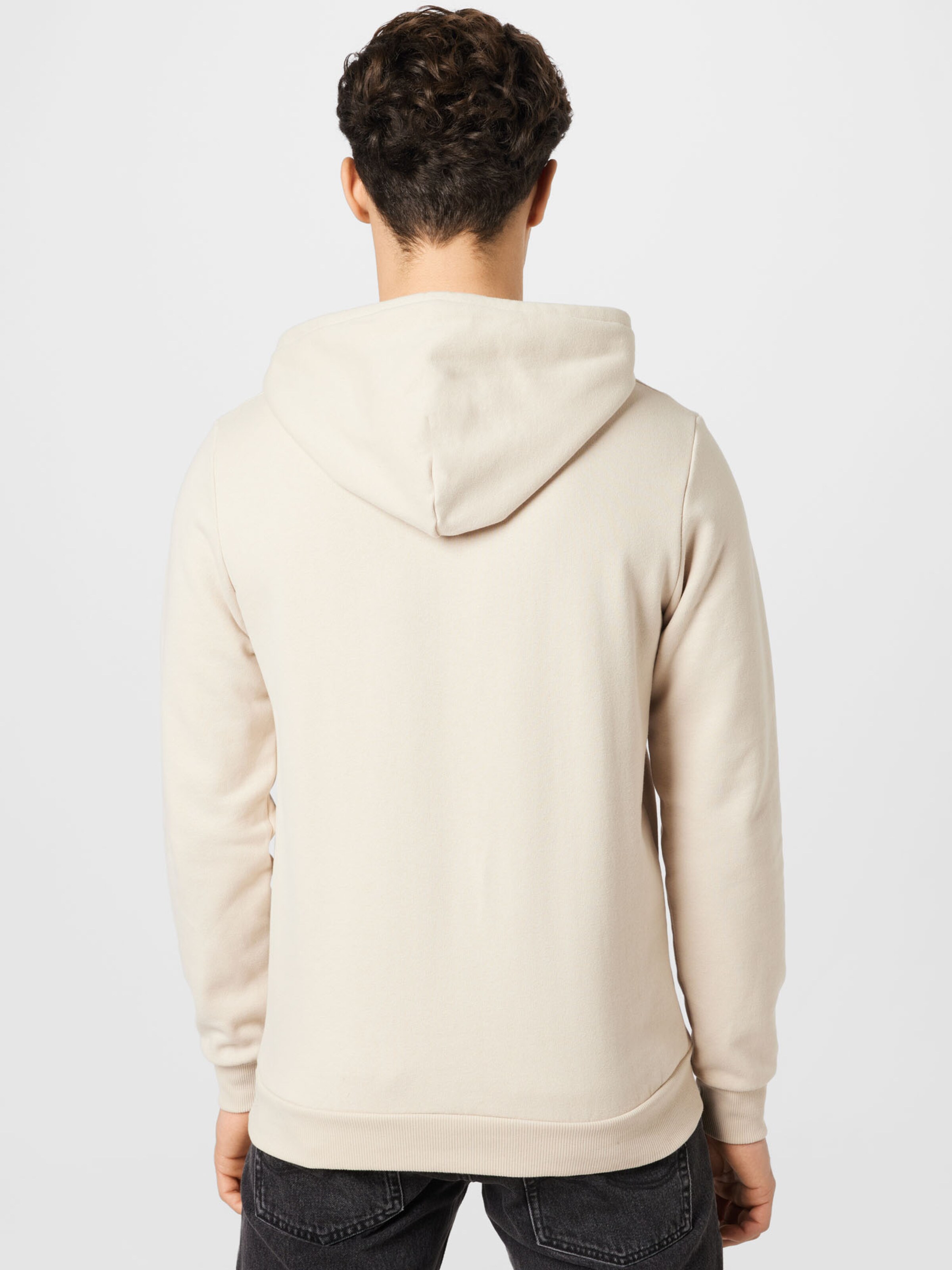 Männer Sweat TOM TAILOR DENIM Sweatshirt in Creme - AN07759 Männer Sweat TOM TAILOR DENIM Sweatshirt in Creme - AN07759