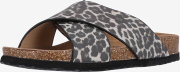 Cruz Mules 'Musoni' in Grey: front