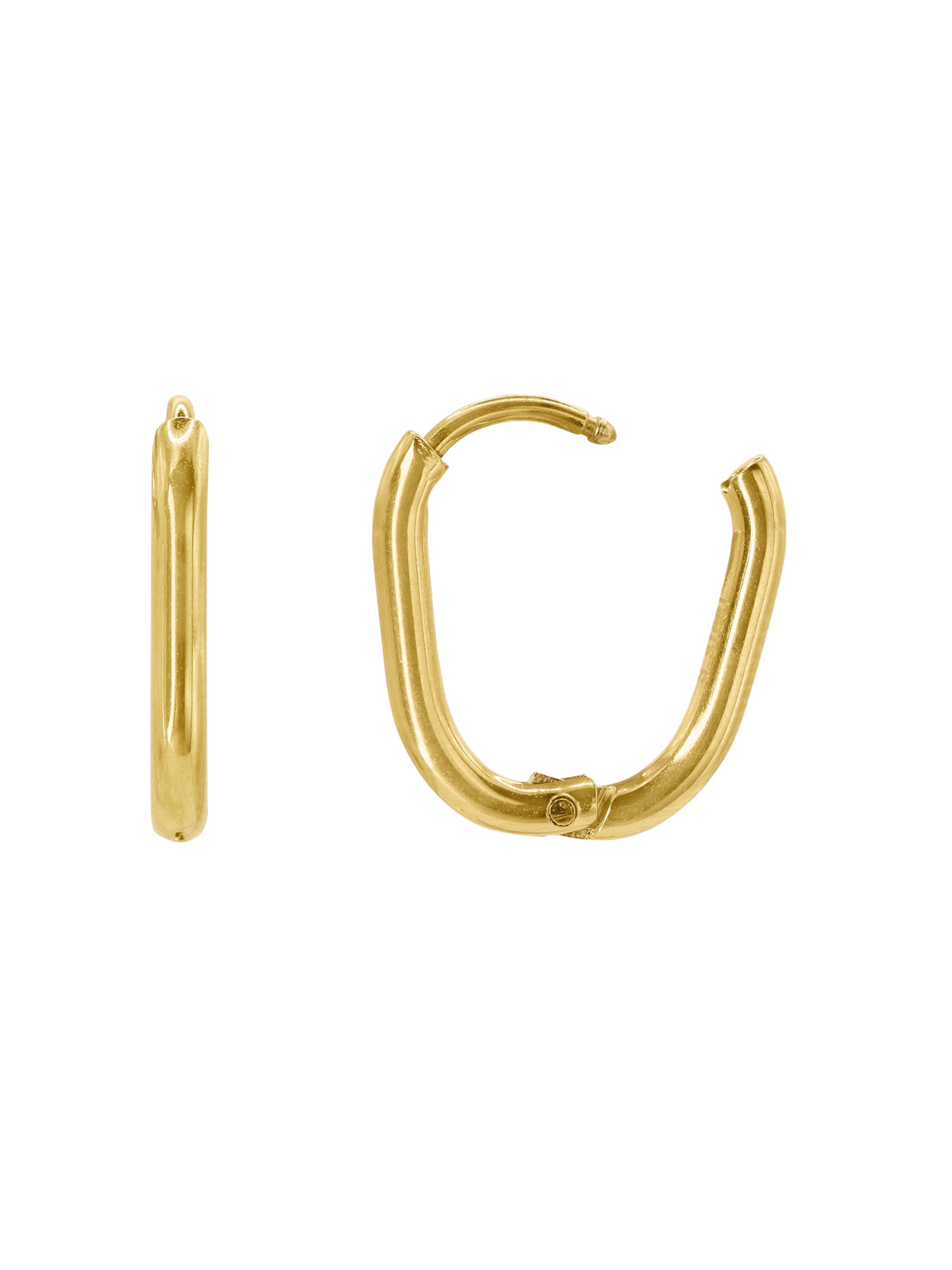 Heideman Earrings 'Festus ' in Gold: front