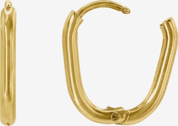 Heideman Earrings 'Festus ' in Gold: front