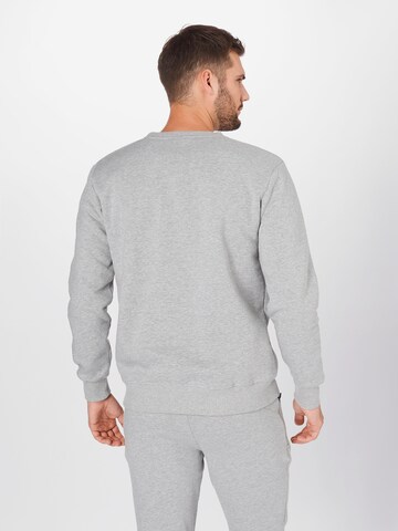 ELLESSE Regular fit Sports sweatshirt 'Brufa' in Grey