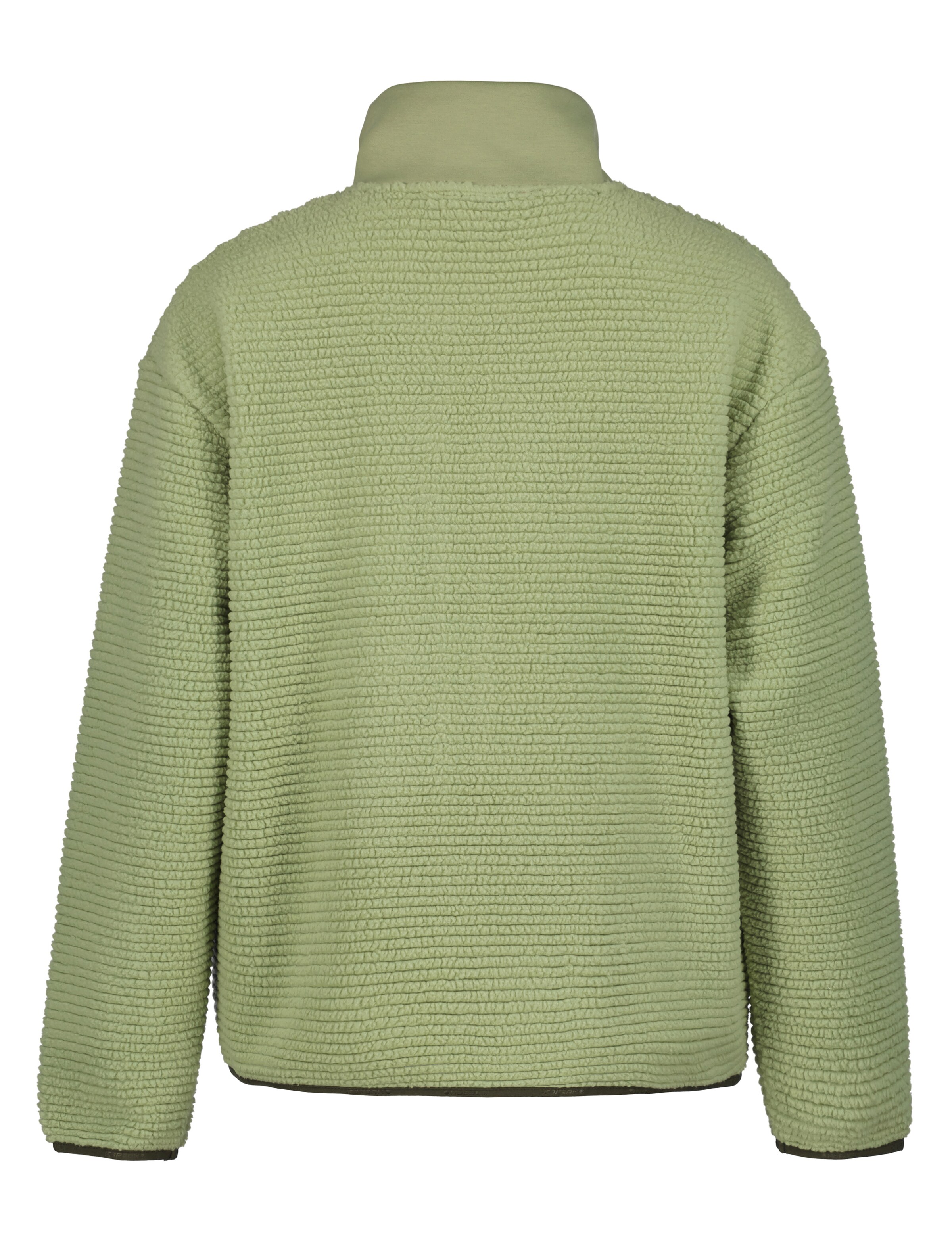 ICEPEAK Athletic Fleece Jacket 'Agene' in Green