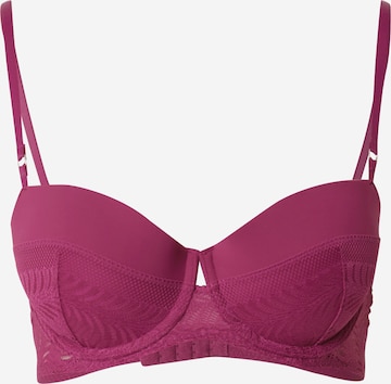 Balconcino Reggiseno di Calvin Klein Underwear in lilla: frontale