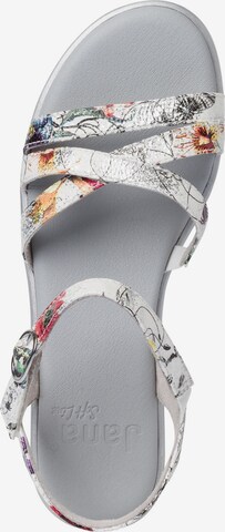 JANA Sandals in Mixed colors