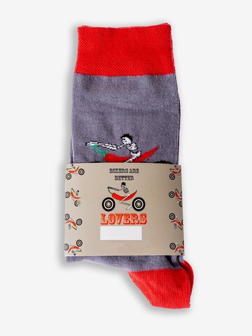 Chili Lifestyle Socks 'Banderole Leisure Socks' in Grey
