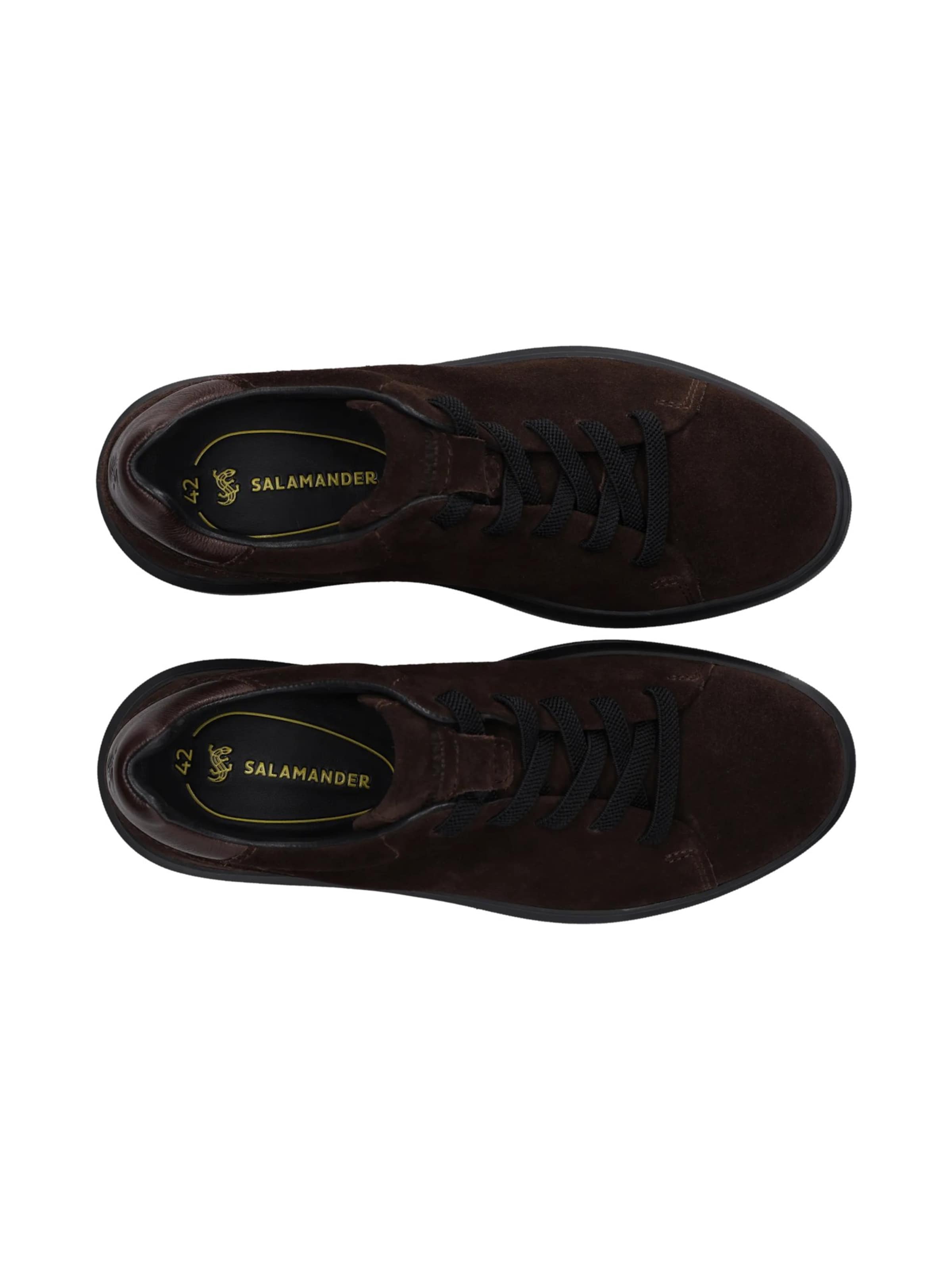 SALAMANDER - Zapatillas deportivas bajas en marrón
