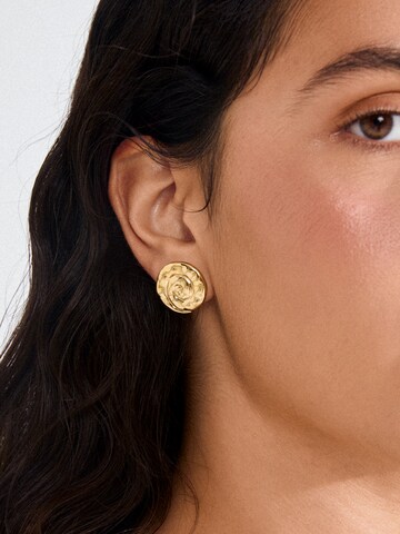 auksinė Pilgrim Auskarai 'HAZE'