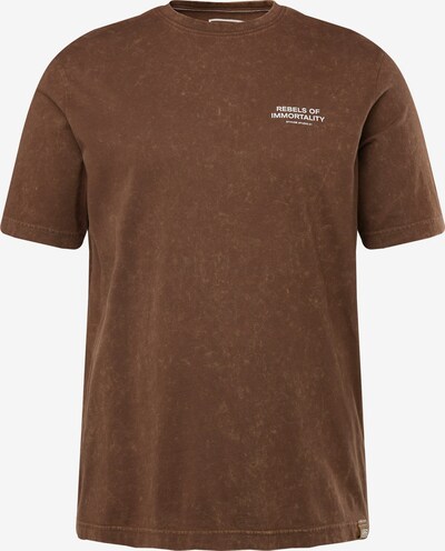 STHUGE T-Shirt en marron / blanc, Vue avec produit