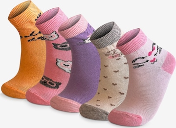 Crea Socks Sockor 'KATZE' i blandade färger: framsida