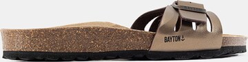 Bayton Mules 'Athena' in Brown