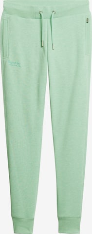 Superdry Broek 'Essential' in Groen: voorkant