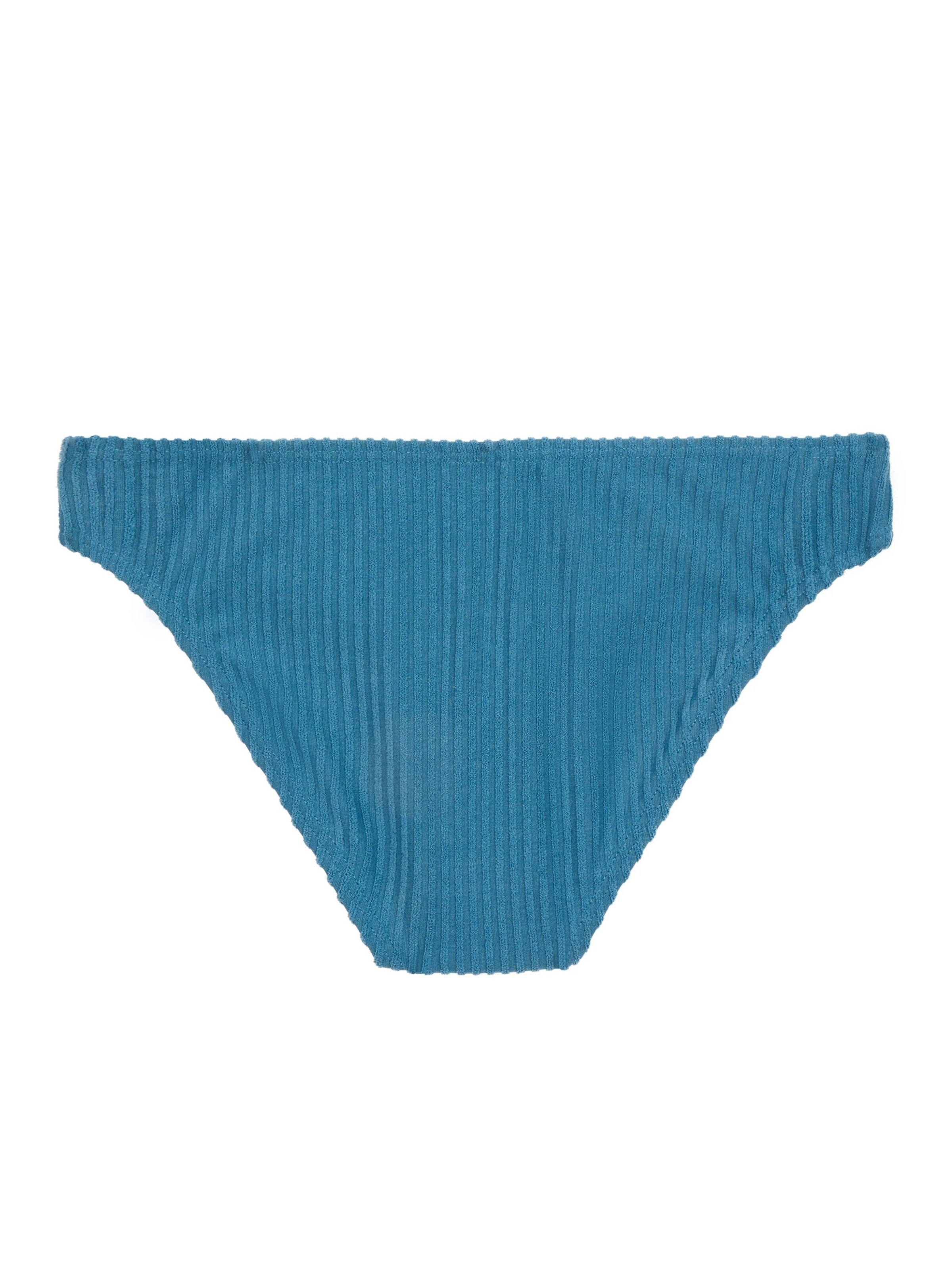 PROTEST Bikinibroek 'MIXBLUETT' in Blauw