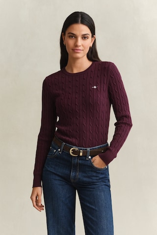 GANT Pullover in Lila: Vorderseite