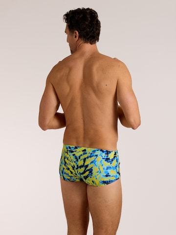 wavebreaker Swim Trunks in Green