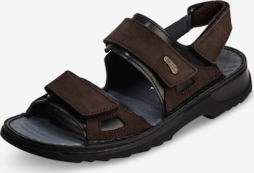 VITAFORM Sandals in Brown: front