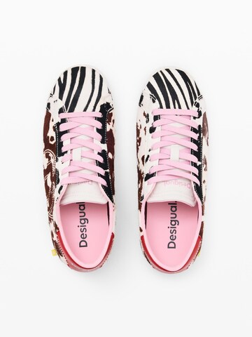 Desigual Σνίκερ χαμηλό σε καφέ