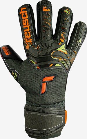 REUSCH Athletic Gloves 'Attrakt Gold X' in Black