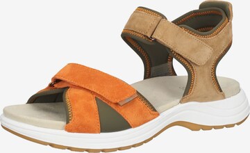 ARA Strap Sandals in Brown: front