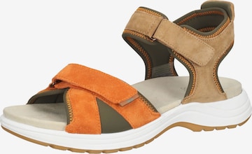 ARA Strap Sandals in Brown: front