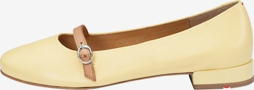 Ballerina di LLOYD in giallo: frontale